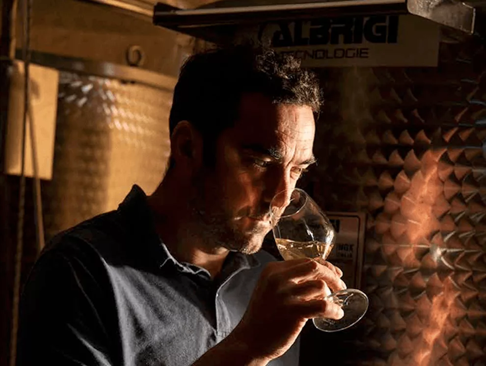 Vignoble breton et cépages hybrides: le vin au futur?